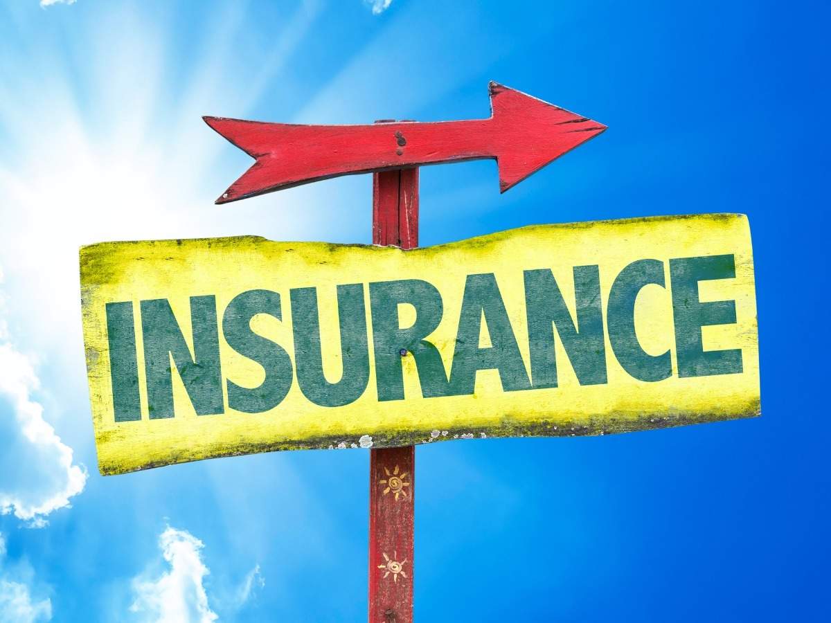 What Is an Insurance Carrier and How Does It Work?