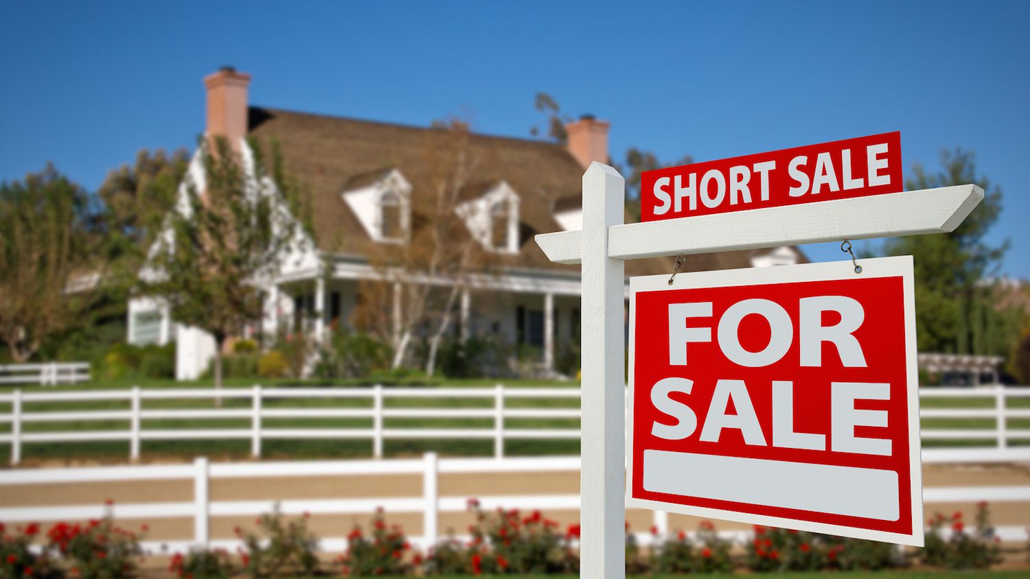 All You Need to Know about Finding Short Sale Listings in MLS