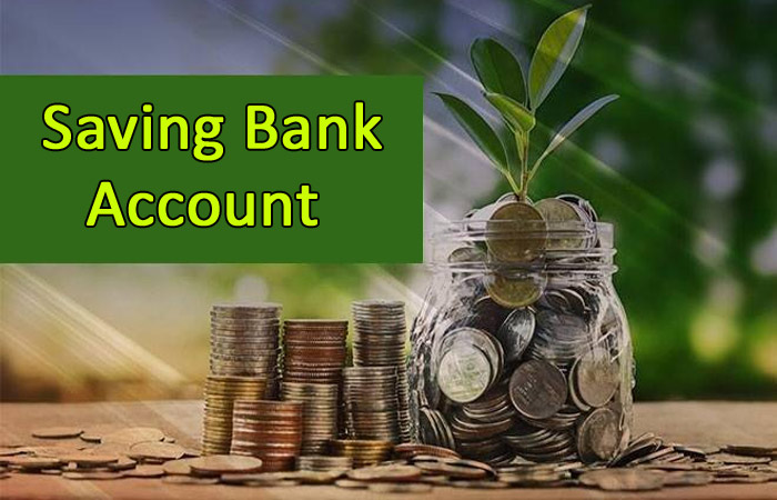 Savings Account - Definition, Uses, Alternatives and Examples